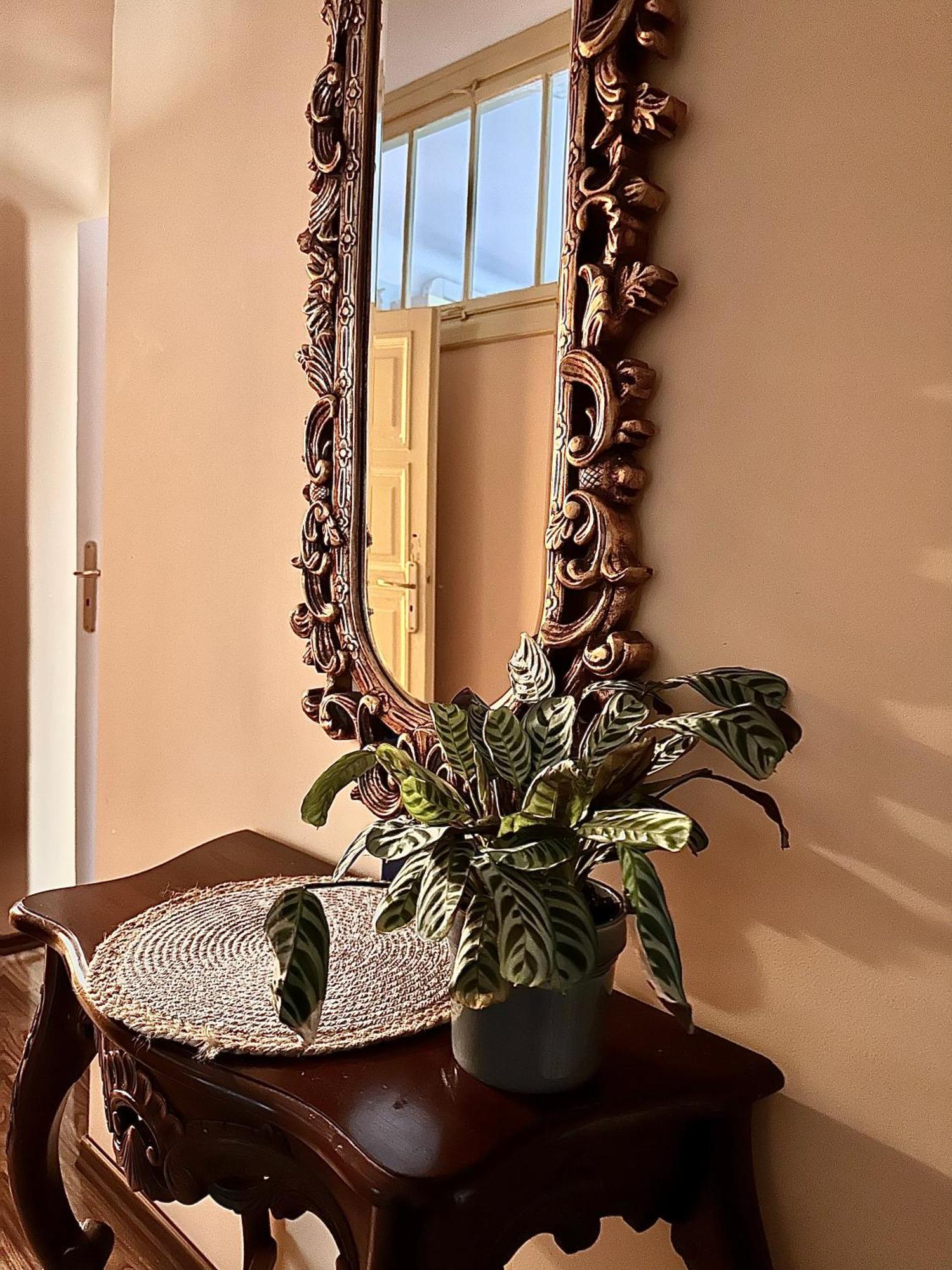Exclusive Apartment Chmielna Street 95M2 وارسو المظهر الخارجي الصورة